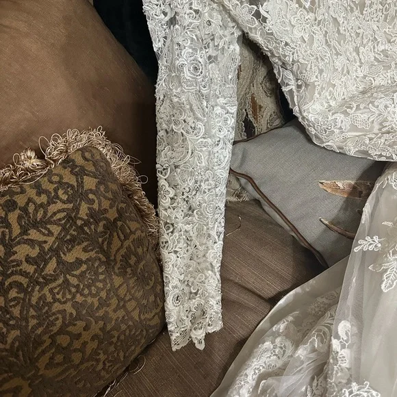 Elegant Lace Wedding Dress - Picture 9 of 10